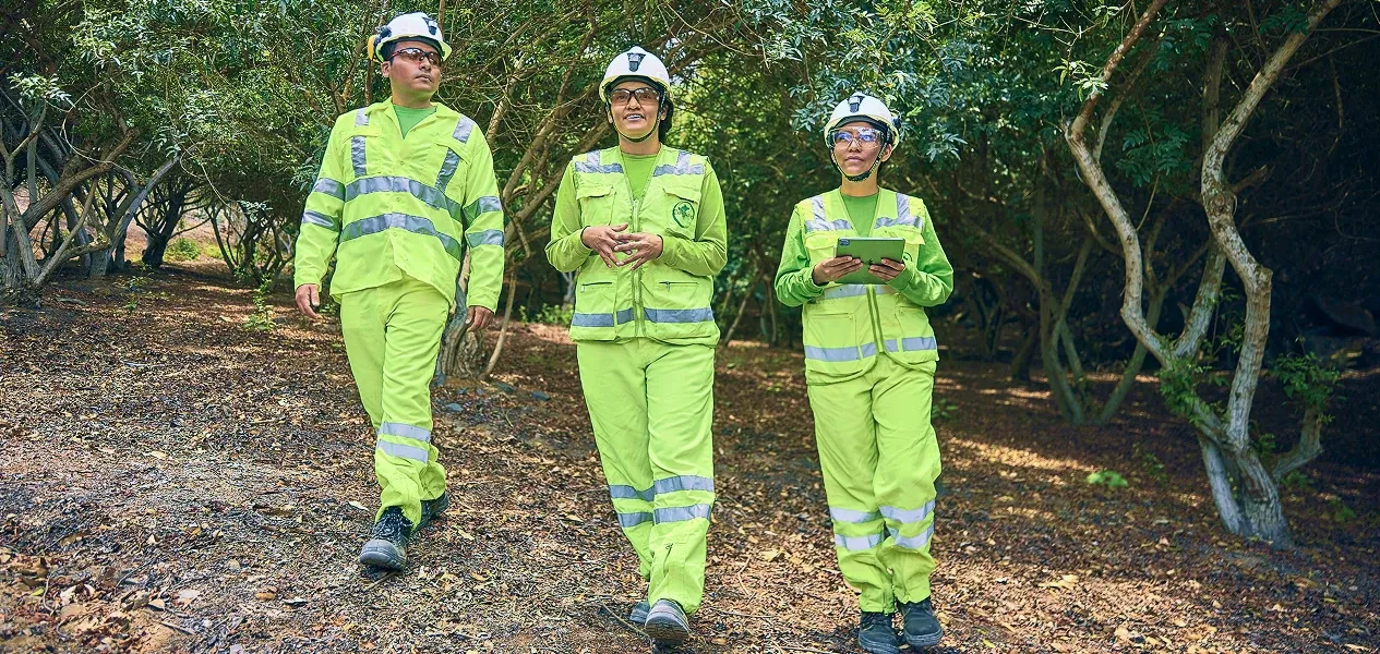 ColquiDesarrollo Banner