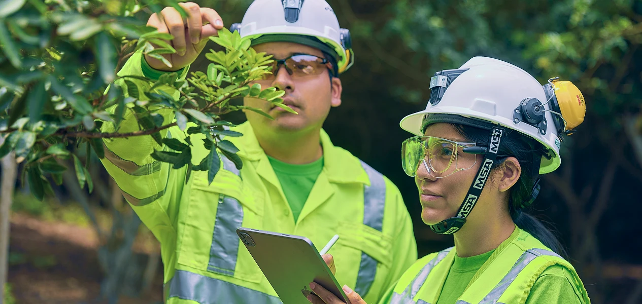 ColquiDesarrollo Banner