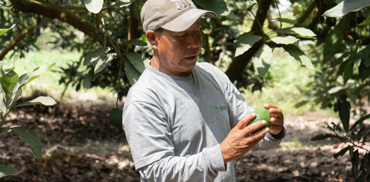 ColquiDesarrollo Banner